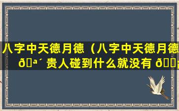 八字中天德月德（八字中天德月德 🪴 贵人碰到什么就没有 🐡 用了）